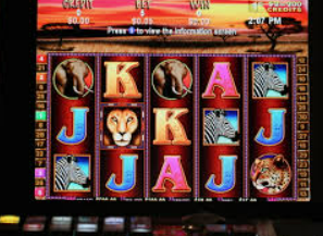 HB火博·体育官方正版手游